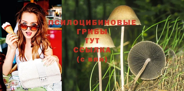 мет Коряжма