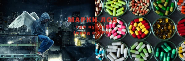 соль ск Козельск