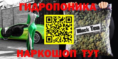 spice Бийск