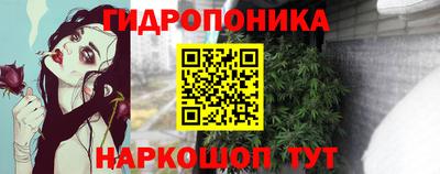 apvp Беслан
