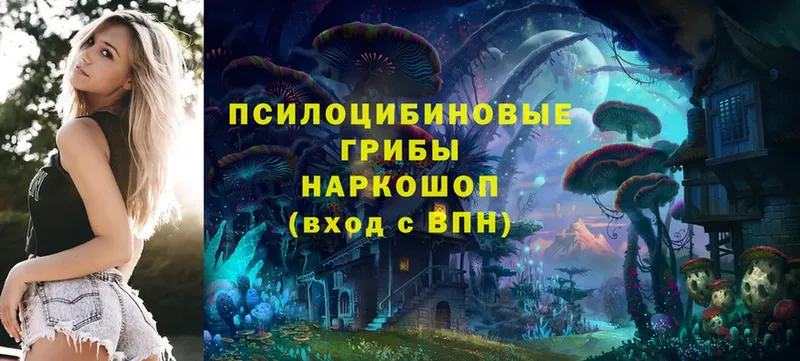 Псилоцибиновые грибы Magic Shrooms  как найти наркотики  Нальчик 