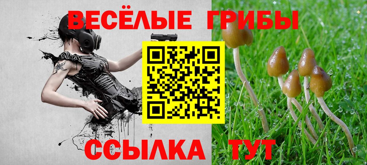 Галлюциногенные грибы Magic Shrooms Нальчик