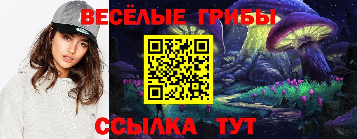 Галлюциногенные грибы мицелий  Вход с VPN  купить наркотик  Нальчик 