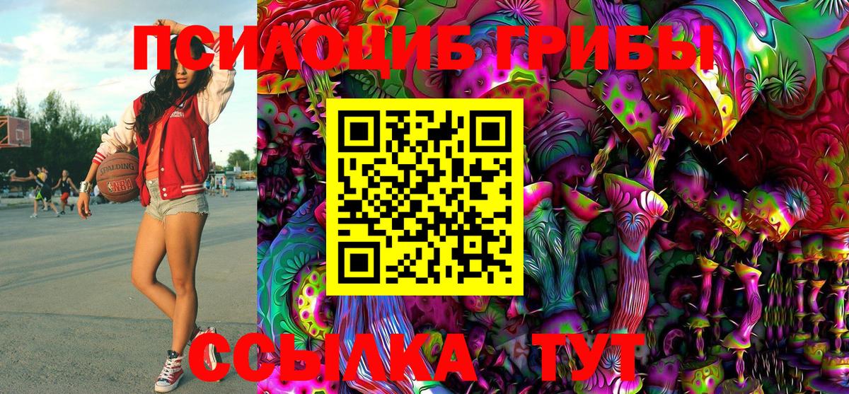 Псилоцибиновые грибы Psilocybine cubensis  Нальчик 
